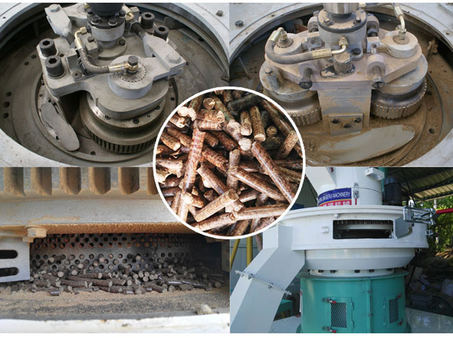 茄子影视视频在线观看內部結構及顆粒 茄子影视视频在线观看內部結構及顆粒