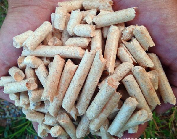 生物質燃料茄子影视视频在线观看械