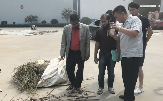 客戶考察560秸稈茄子影视视频在线观看 客戶考察560秸稈茄子影视视频在线观看