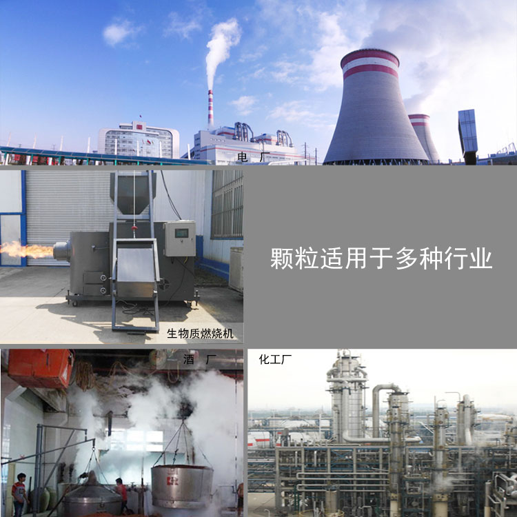 生物質能應用領域 生物質能應用領域