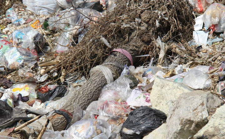 生物質茄子影视视频在线观看械