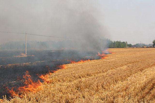 秸稈焚燒 生物質茄子影视视频在线观看械