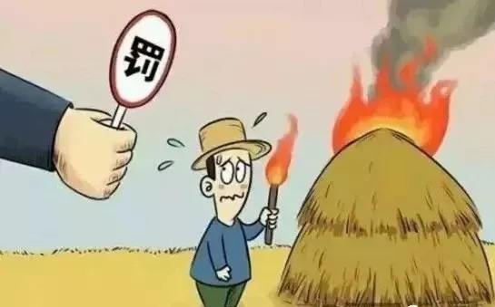 生物質茄子影视视频在线观看械