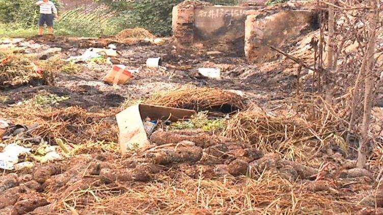 生物質茄子影视视频在线观看械