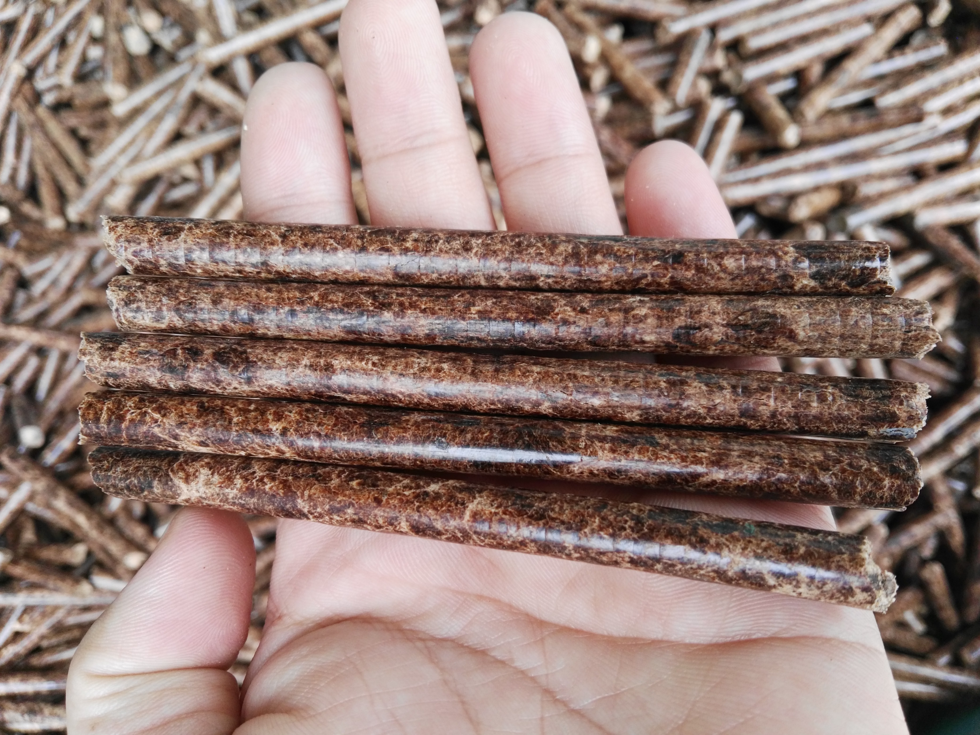 生物質茄子影视视频在线观看械