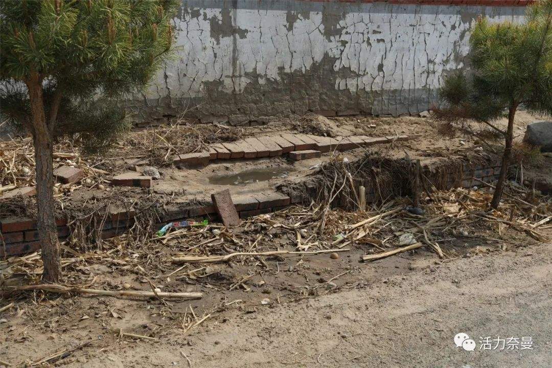 生物質茄子影视视频在线观看械