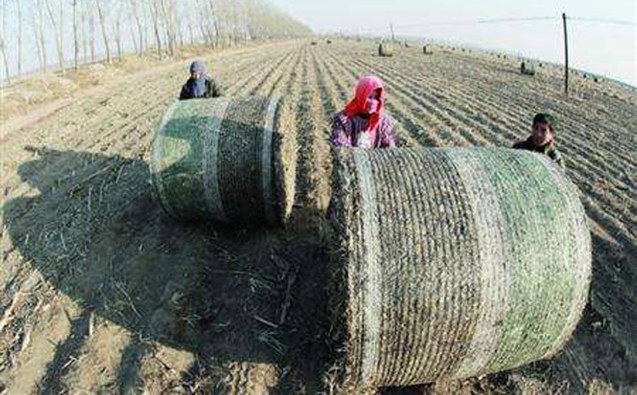 生物質茄子影视视频在线观看械