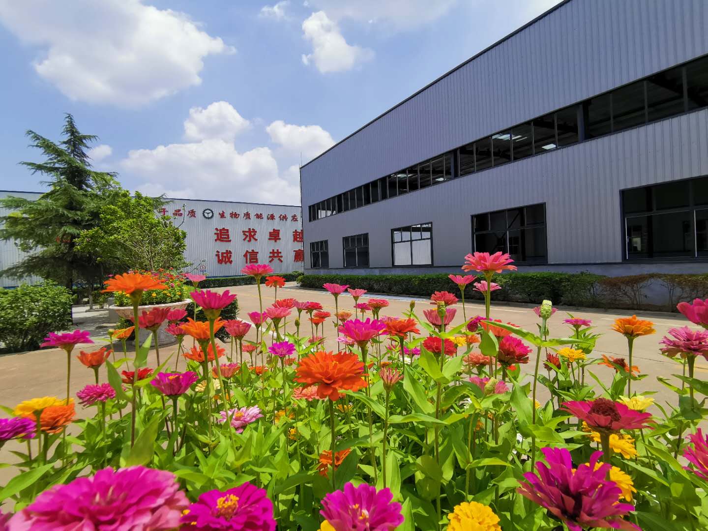 山東茄子视频免费观看茄子影视视频在线观看廠家