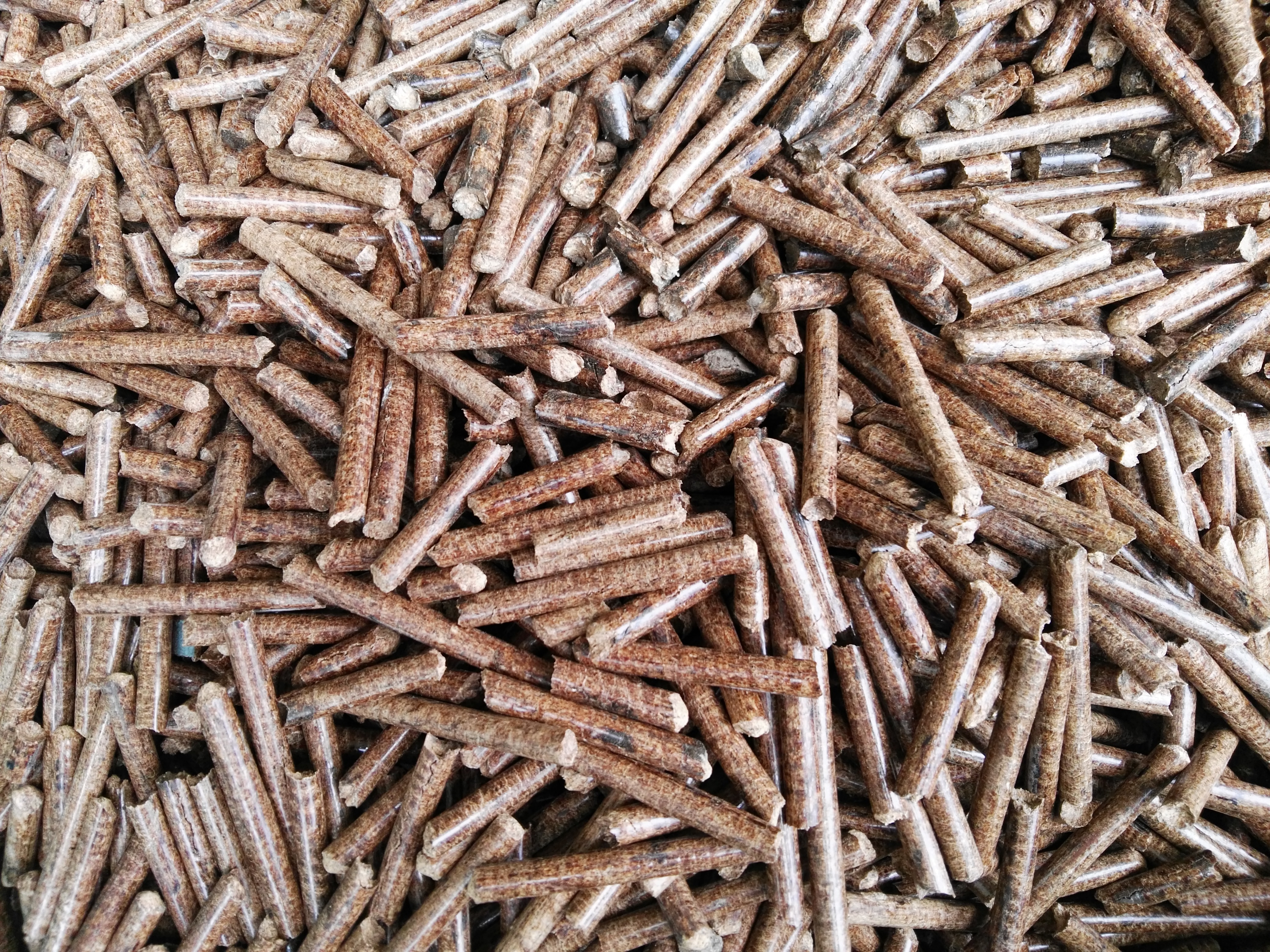 生物質茄子影视视频在线观看械