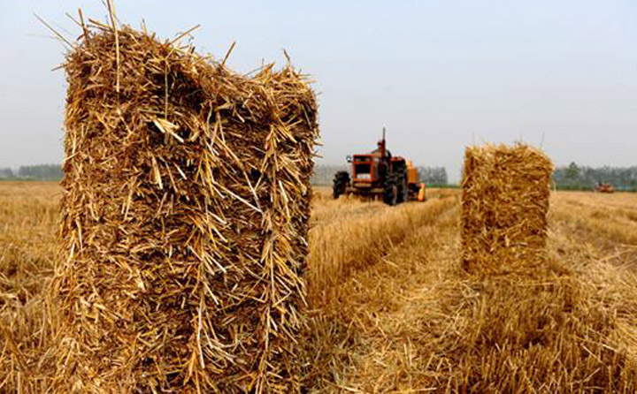 生物質茄子影视视频在线观看械