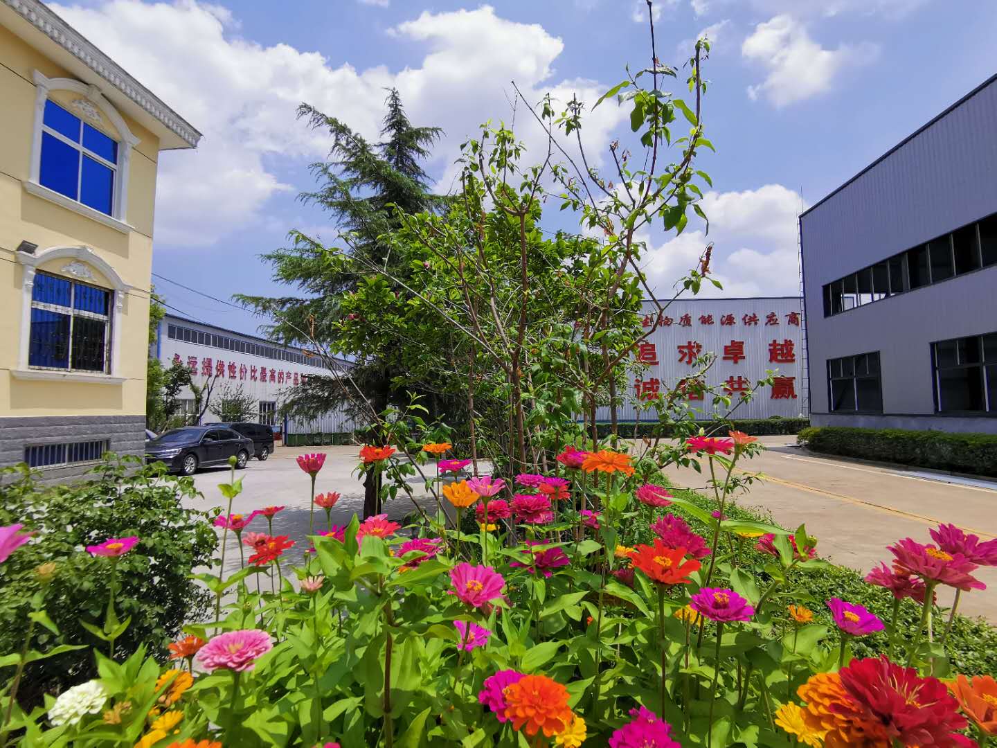 生物質茄子影视视频在线观看廠家 生物質茄子影视视频在线观看械