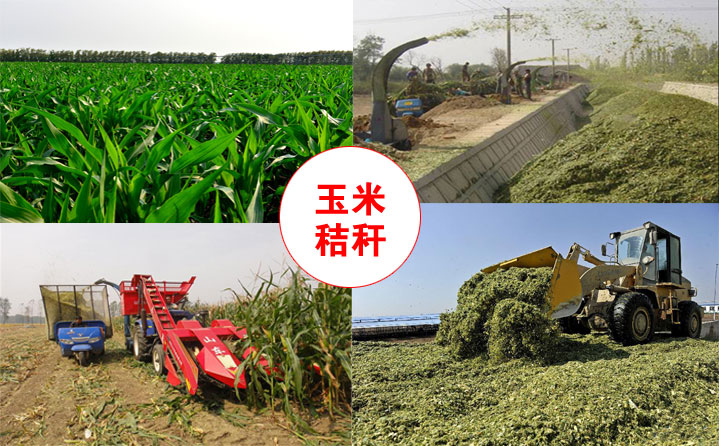 玉米秸稈綜合利用 生物質茄子影视视频在线观看械