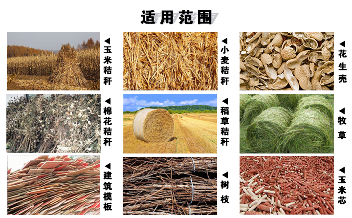 生物質茄子影视视频在线观看械