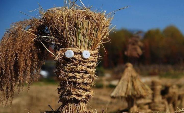 生物質燃料茄子影视视频在线观看原材料 生物質燃料茄子影视视频在线观看原材料