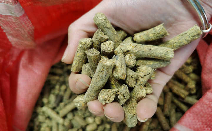 生物質燃料顆粒 生物質燃料顆粒