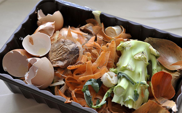 廚餘垃圾 廚餘垃圾