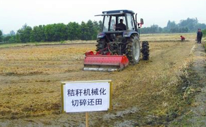 秸稈還田讓“地越種越肥、產值越來越高”