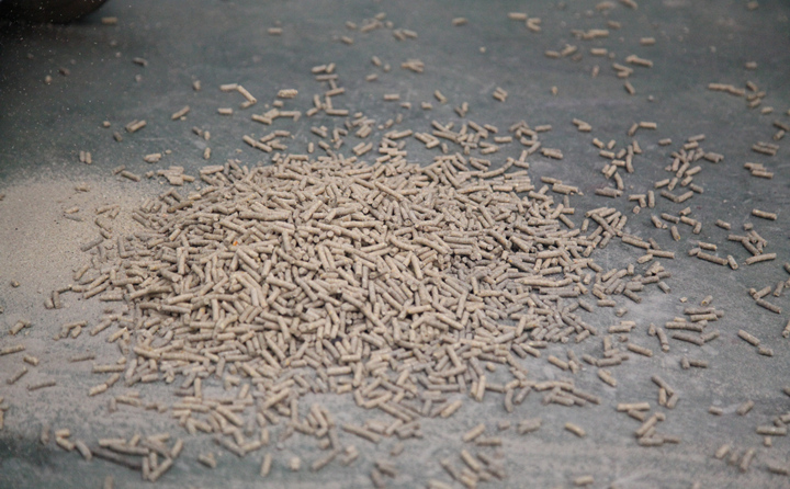 日照生物質茄子影视视频在线观看的顆粒