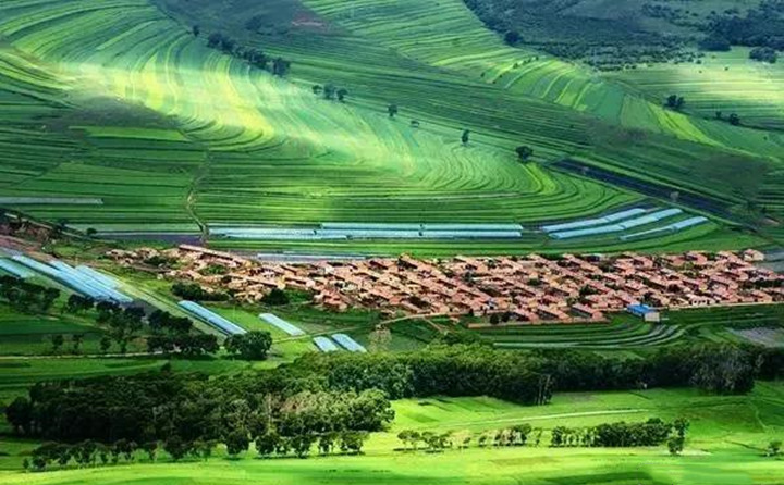 近日，甘穀縣農業農村項目建設服務中心全體幹部來到大石鎮李灣村開展我為群眾辦實事活動