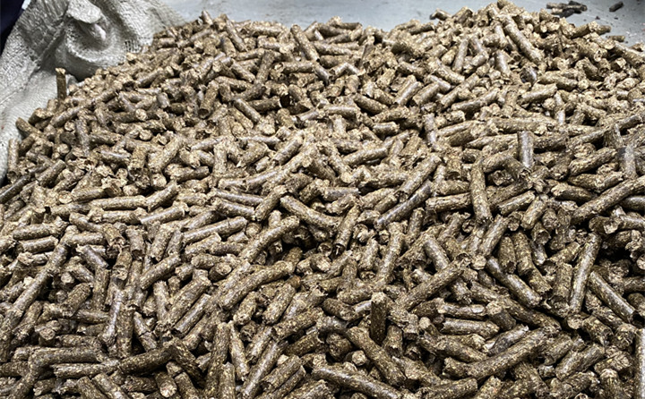 生物質燃料茄子影视视频在线观看顆粒項目