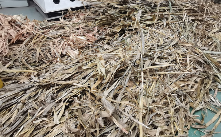 突泉縣：廢棄秸稈綜合利用催生綠色經濟