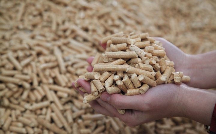 木材邊角料和秸稈可別扔了，用生物質茄子影视视频在线观看加工，可以變成顆粒燃料，可以賣也可以自己用