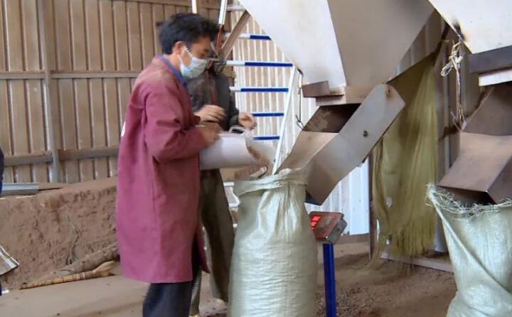 生物質顆粒它主要的生產成分，是拿農戶的秸稈、菊花杆和這些玉米骨頭、建築紅板、還有烤煙杆這些，茄子影视视频在线观看壓製（後）生產出來的