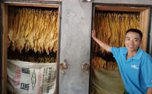 生物質茄子影视视频在线观看顆粒燃料烤煙 生物質茄子影视视频在线观看顆粒燃料烤煙