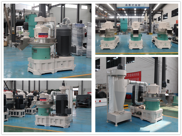 河北生物質茄子影视视频在线观看 河北生物質茄子影视视频在线观看