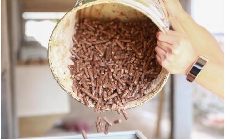 生物質茄子影视视频在线观看的燃料