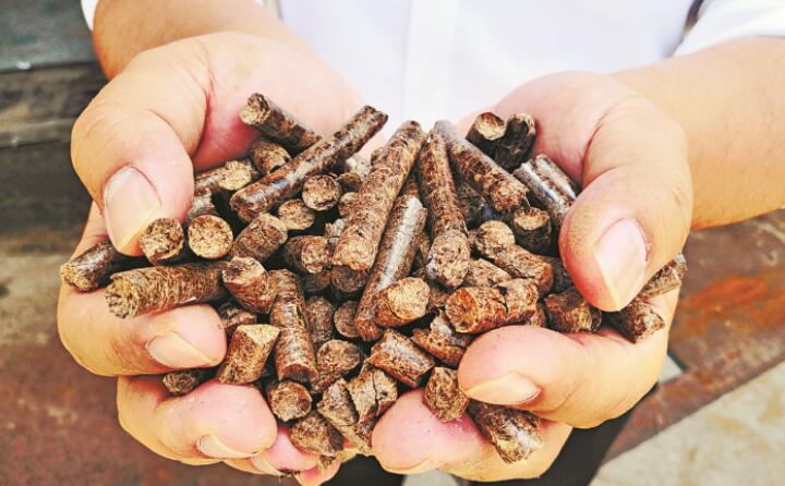 生物質茄子影视视频在线观看生產的顆粒燃料 生物質茄子影视视频在线观看生產的顆粒燃料