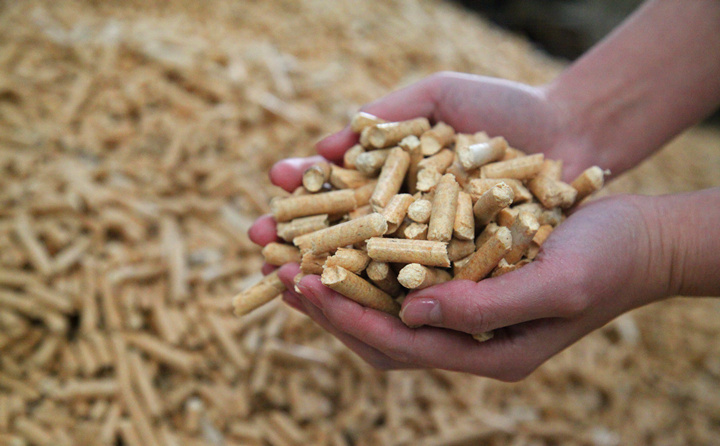 生物質成型燃料 生物質成型燃料