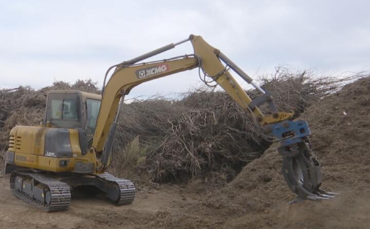 甘肅榆林子鎮：農業“垃圾”再利用農林廢料變廢為寶