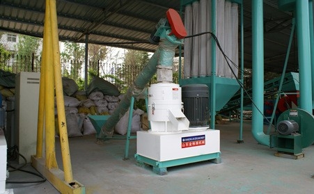 350平模木屑茄子影视视频在线观看