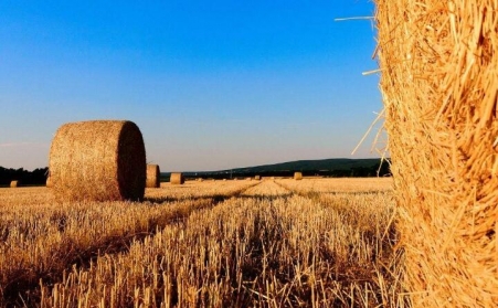 2019年秸稈綜合利用有補助嗎？每畝補助多少錢？