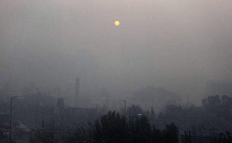 生物質茄子影视视频在线观看助你致富一臂之力