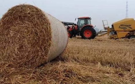 秸稈茄子影视视频在线观看為發展生物質能源奠定基礎