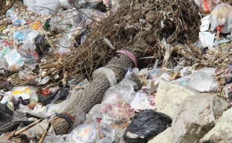 秸稈茄子影视视频在线观看的發展造福農民