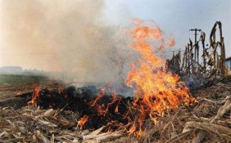 秸稈茄子影视视频在线观看讓秸稈成農民眼中“香餑餑”！