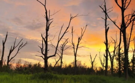 河北鋸末茄子影视视频在线观看的社會意義