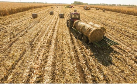 生物質茄子影视视频在线观看加工物料時有哪些注意事項