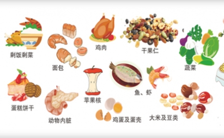 我國明確對非居民廚餘垃圾處理按“產生者付費”原則計量收費,你的垃圾怎麽辦？垃圾生物質茄子影视视频在线观看幫你解決