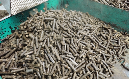 生物質茄子影视视频在线观看成型燃料知識大全