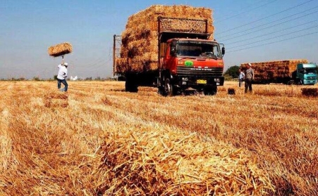 生物質發電：秸稈變燃料 環保又增收