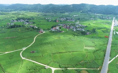 福泉：生物質顆粒智能化烘烤 助力烤煙產業提質增效