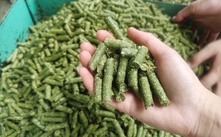 河南支持生物質能等可再生能源替代，助力實現碳達峰碳中和目標