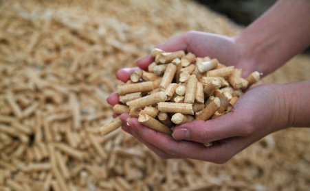 瓦房子鎮：生物質燃料顆粒項目 支撐綠色低碳發展
