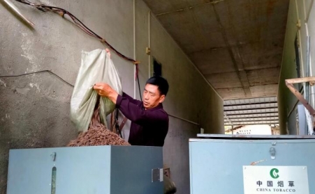 江西贛州煙區：開啟煙葉烘烤“綠色之門”