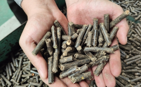 生物質茄子影视视频在线观看加工的顆粒燃料銷路請您看！