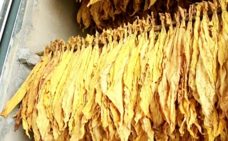 湖北秭歸煙草：“低碳”助力綠色發展